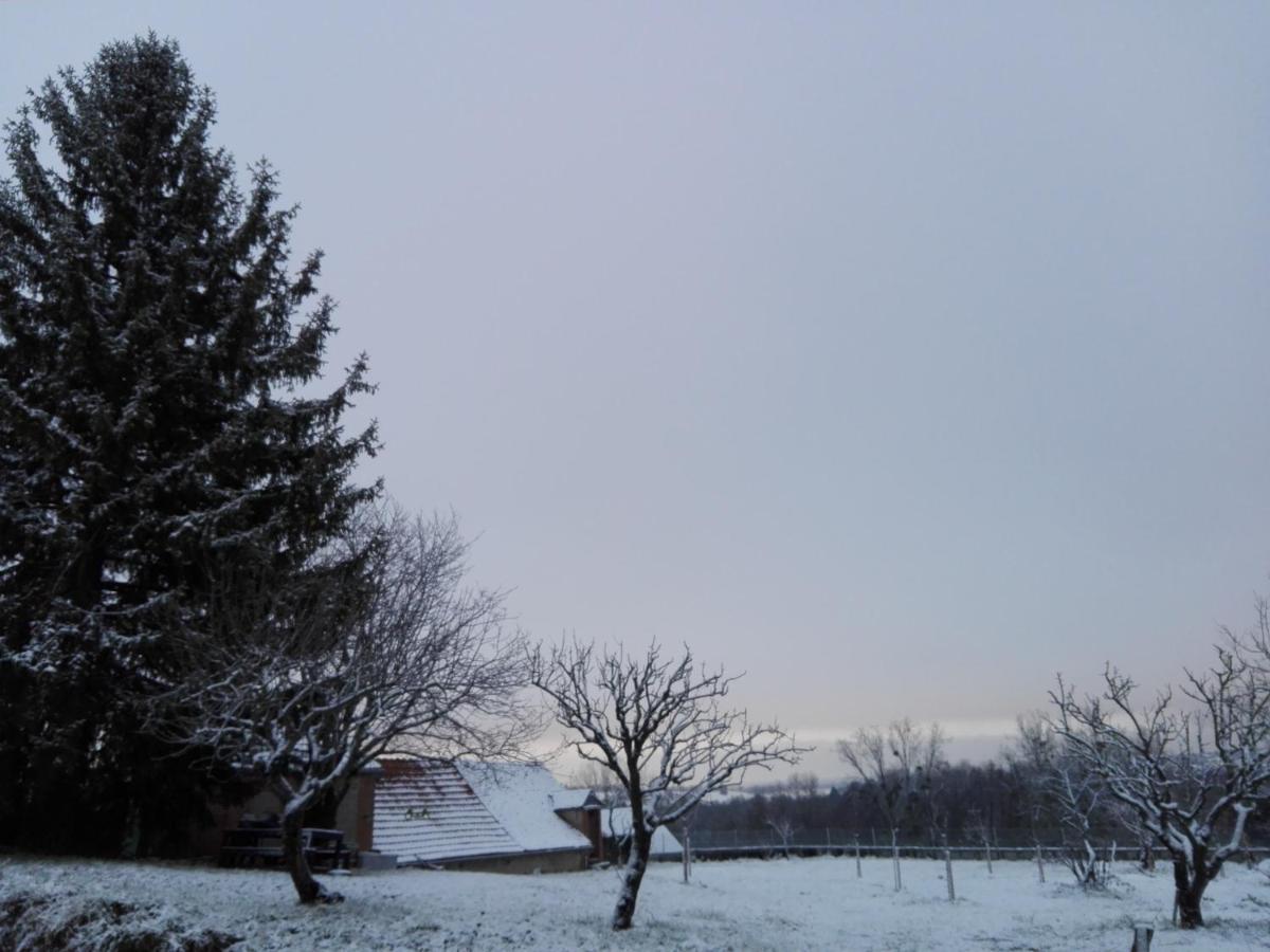 Chez Casimir Bed & Breakfast Cercy-la-Tour Екстериор снимка
